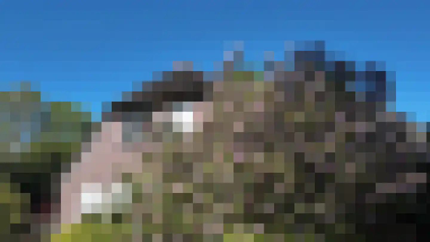 Kallenkote 17 Kallenkote thumbnail 45