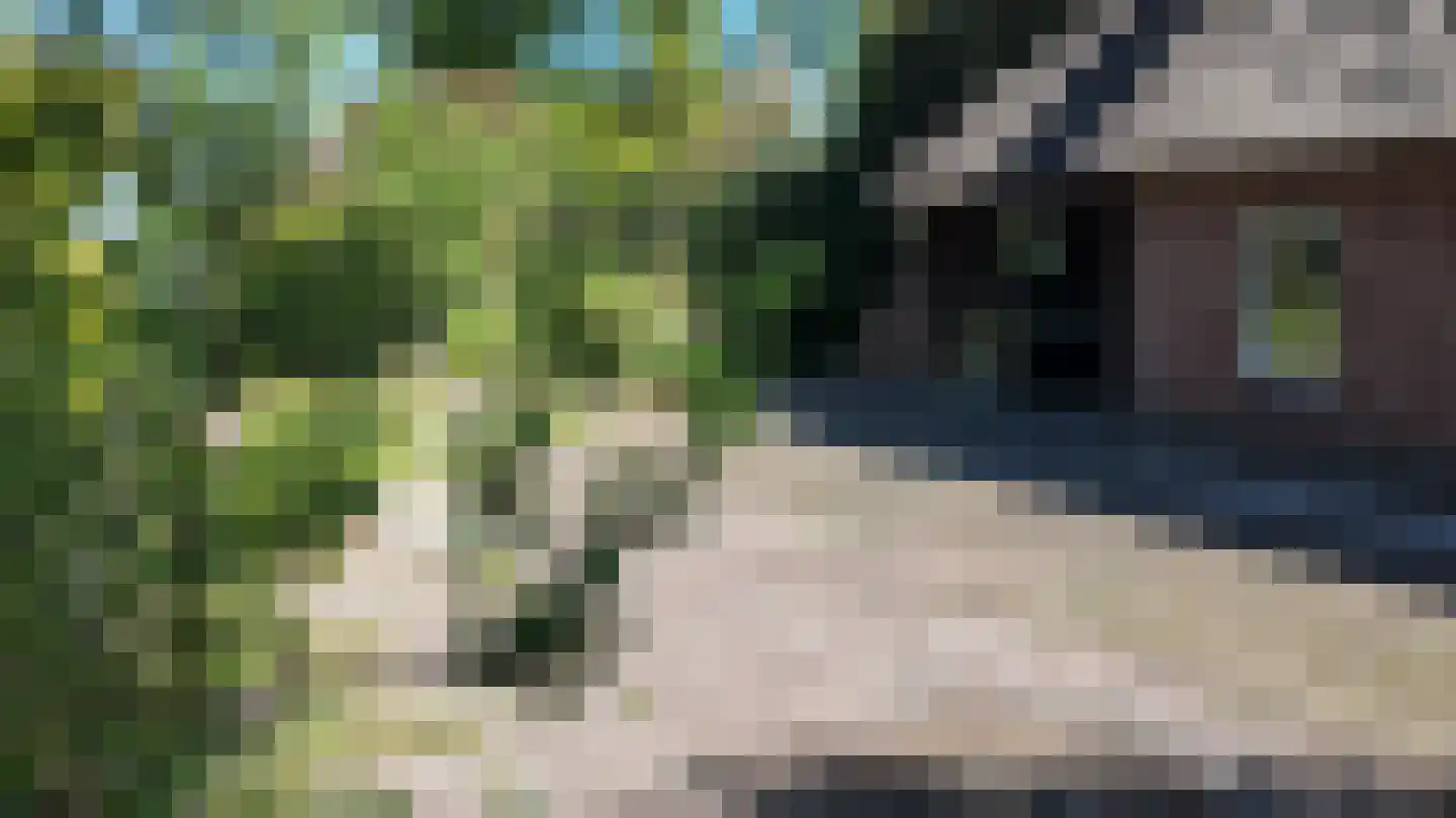 Kallenkote 17 Kallenkote thumbnail 47