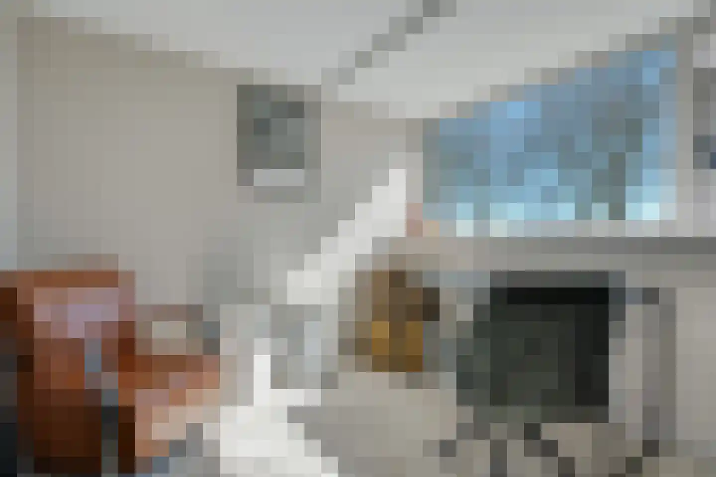 Kallenkoterallee 121 Steenwijk thumbnail 31