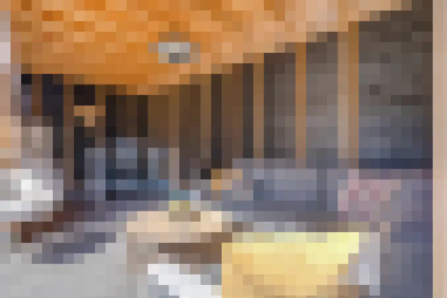 Kallenkoterallee 121 Steenwijk thumbnail 43