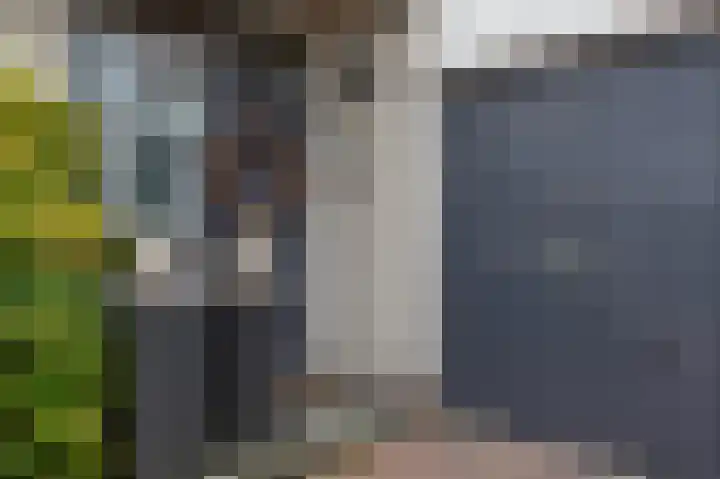 Kallenkoterallee 82 Steenwijk thumbnail 5