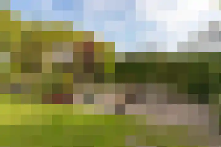Kallenkoterallee 82 Steenwijk thumbnail 50