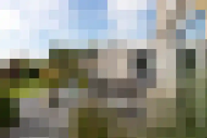 Kallenkoterallee 82 Steenwijk thumbnail 55