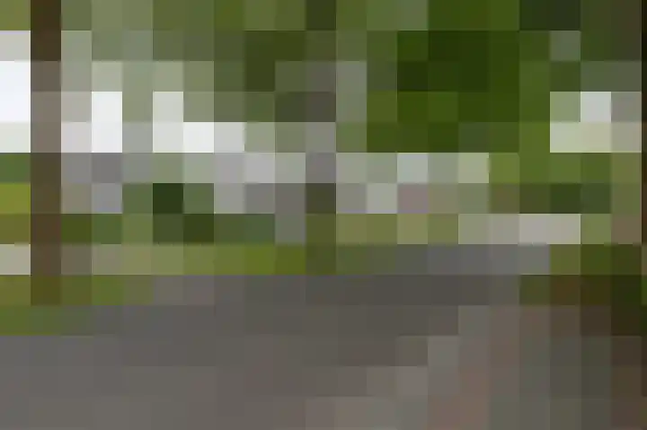 Kallenkoterallee 82 Steenwijk thumbnail 63