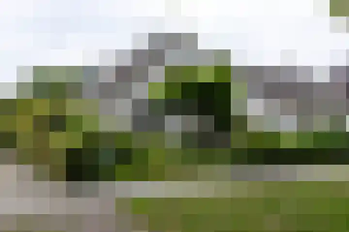 Kallenkoterallee 82 Steenwijk thumbnail 64