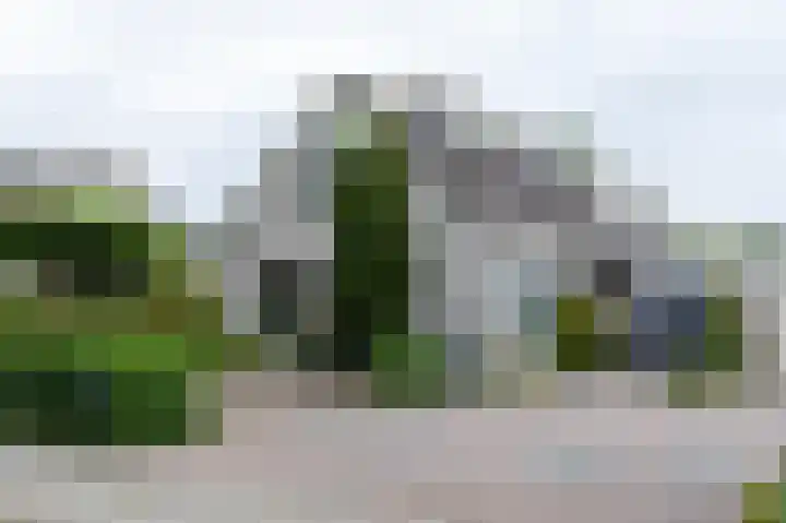 Kallenkoterallee 82 Steenwijk thumbnail 65