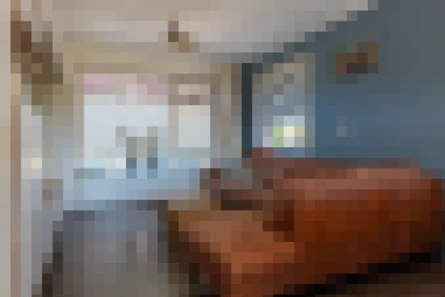 Kallenkoterallee 92 Steenwijk thumbnail 11