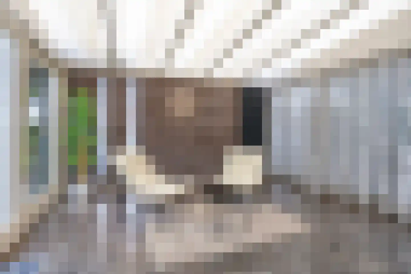Kallestraat 14 Hunsel thumbnail 12