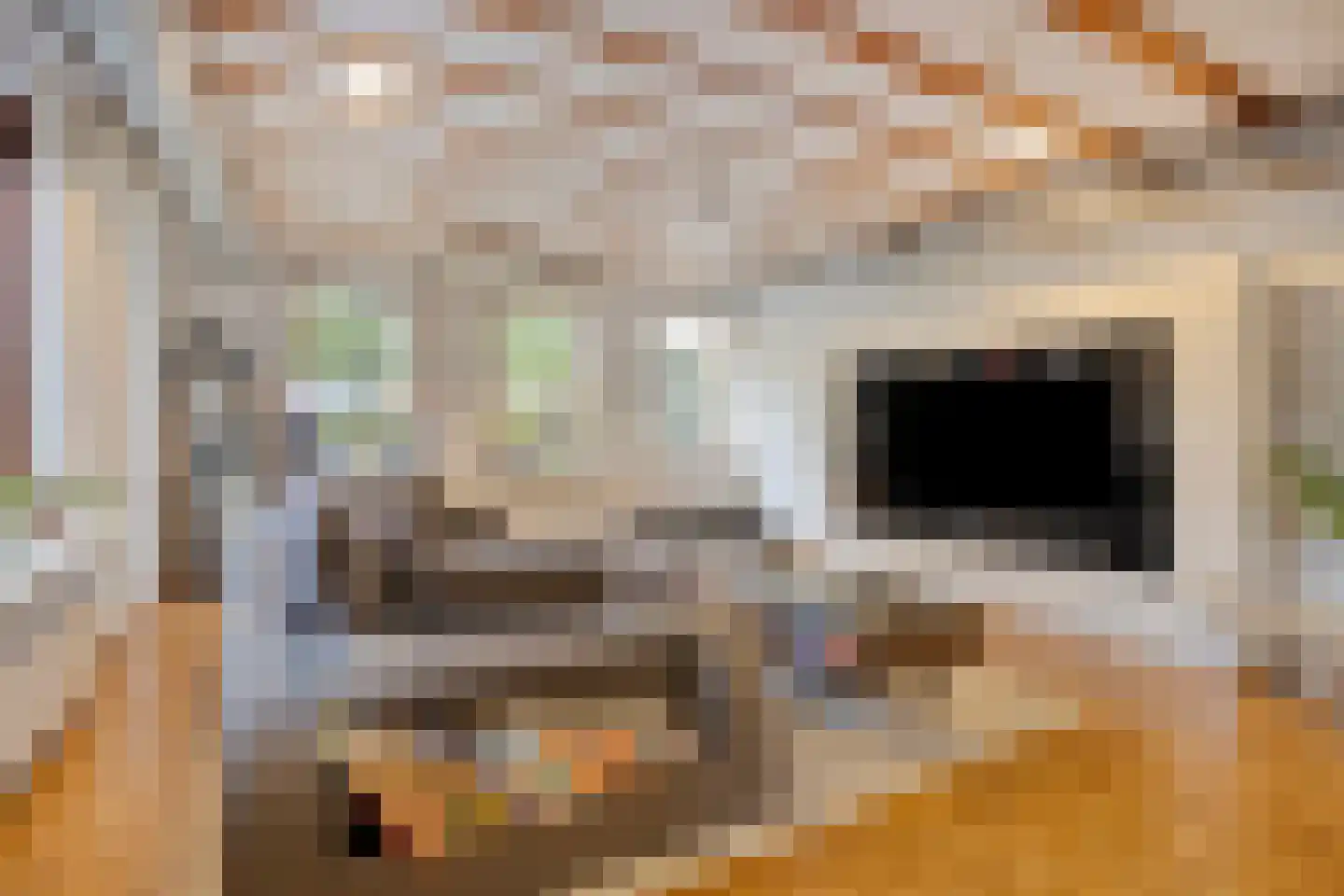 Kallestraat 14 Hunsel thumbnail 16