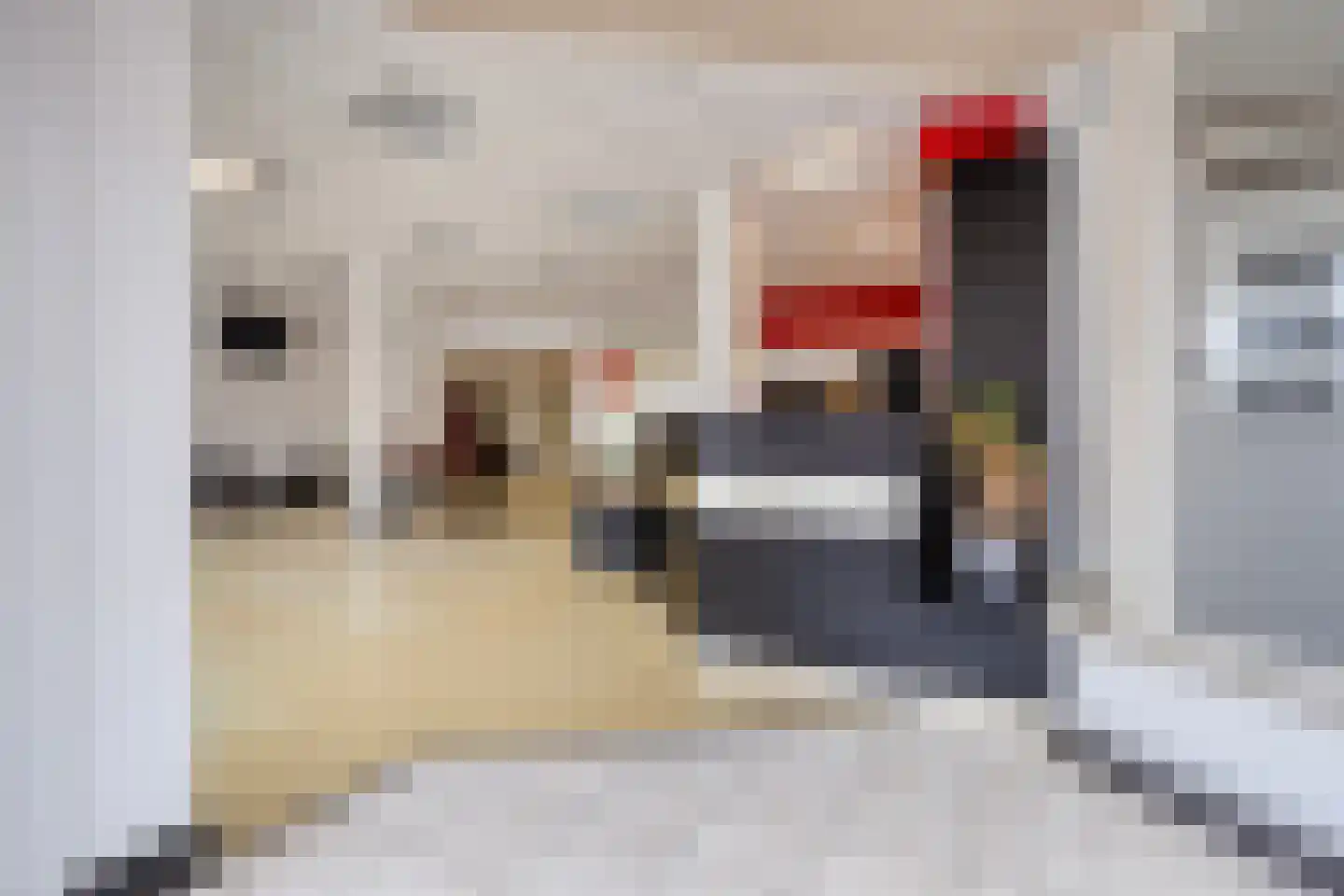 Kallestraat 14 Hunsel thumbnail 29