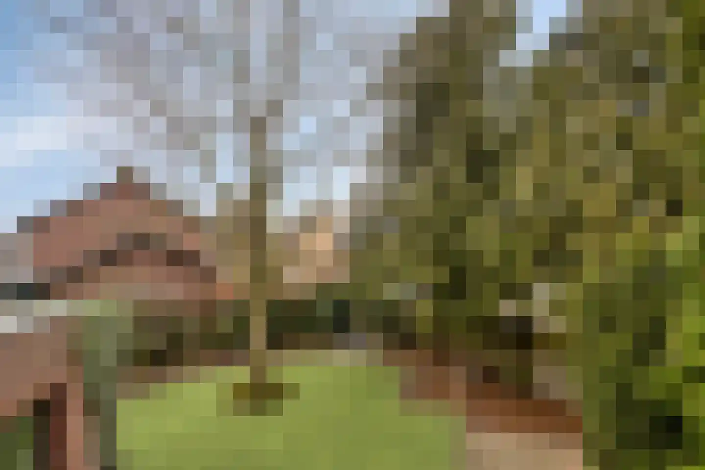 Kallestraat 14 Hunsel thumbnail 43