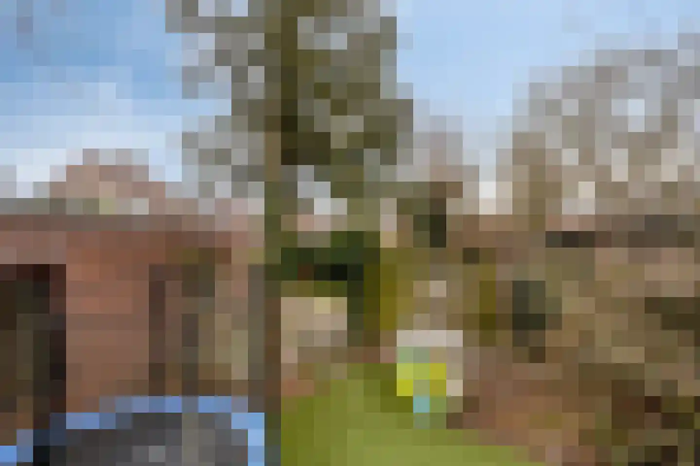 Kallestraat 14 Hunsel thumbnail 46
