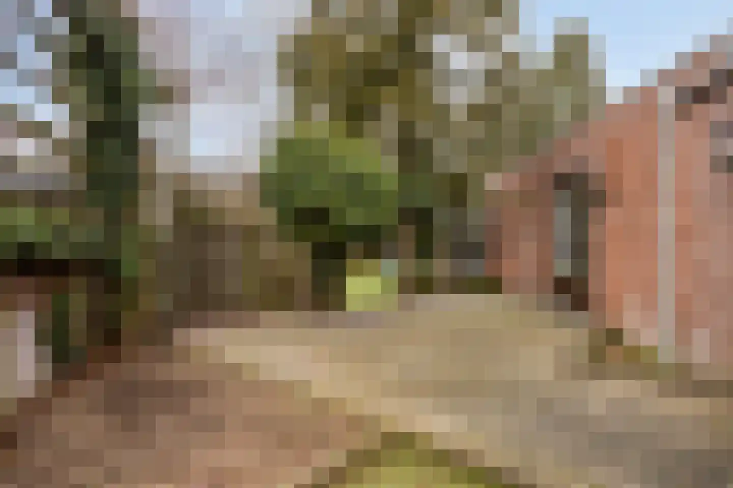 Kallestraat 14 Hunsel thumbnail 48