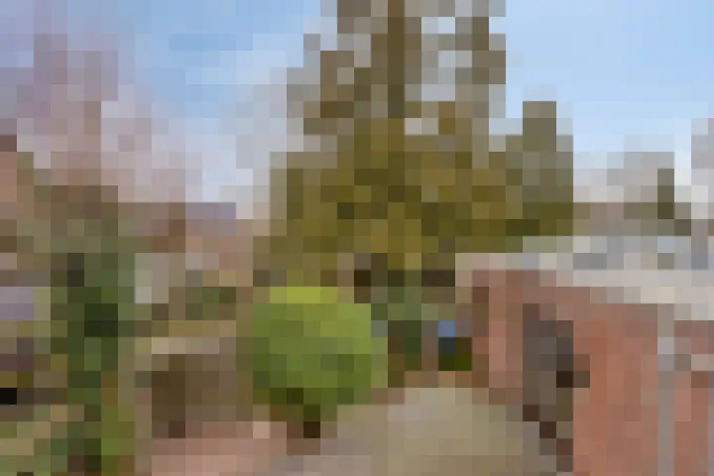 Kallestraat 14 Hunsel thumbnail 49