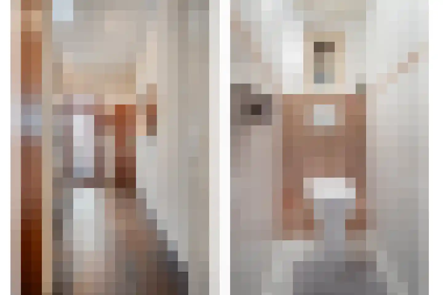 Kallestraat 14 Hunsel thumbnail 6