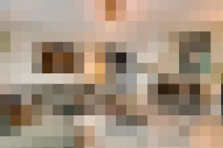 Kallestraat 24 Hunsel thumbnail 5