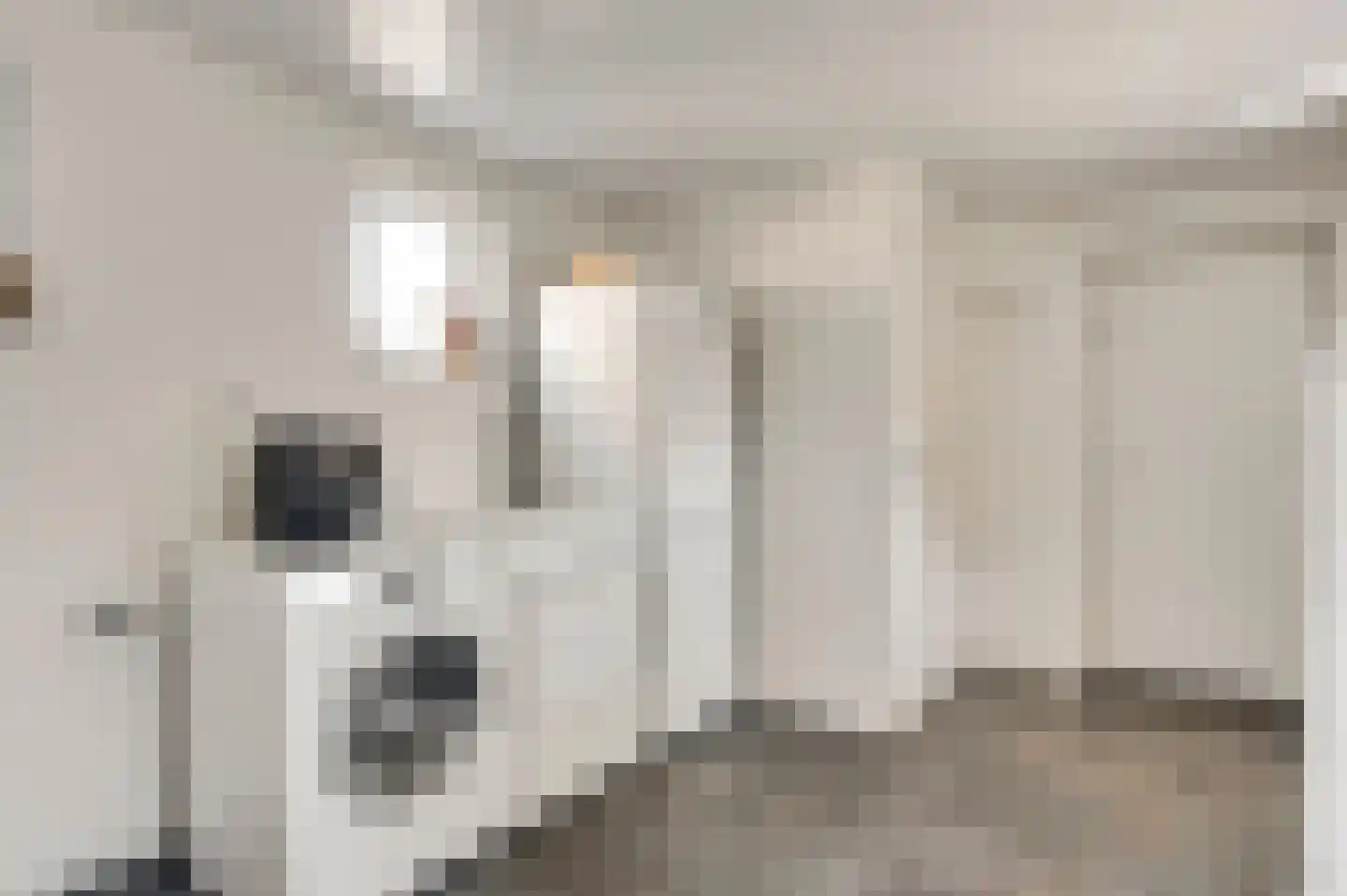 Kallestraat 27 Hunsel thumbnail 20
