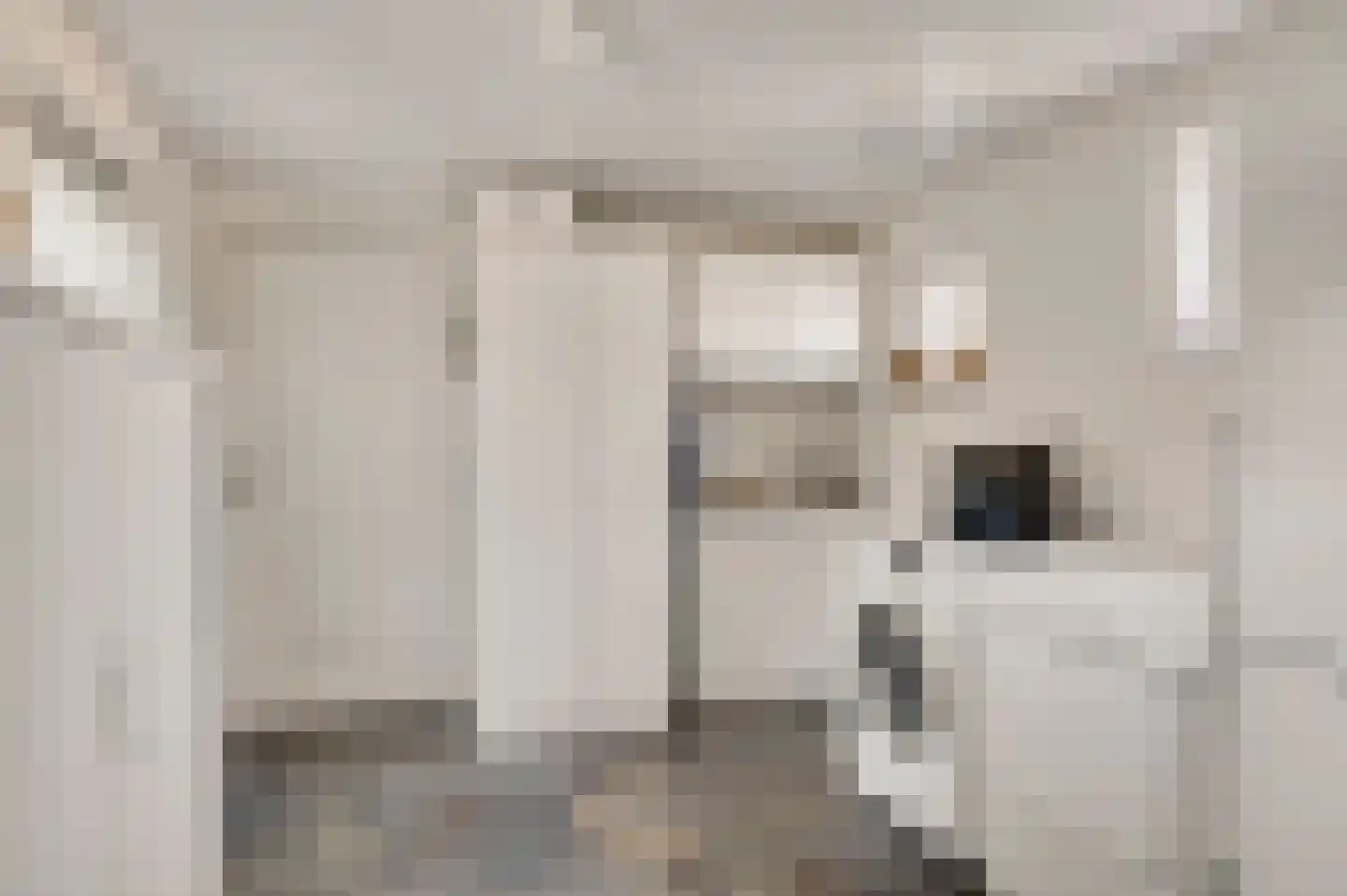 Kallestraat 27 Hunsel thumbnail 21