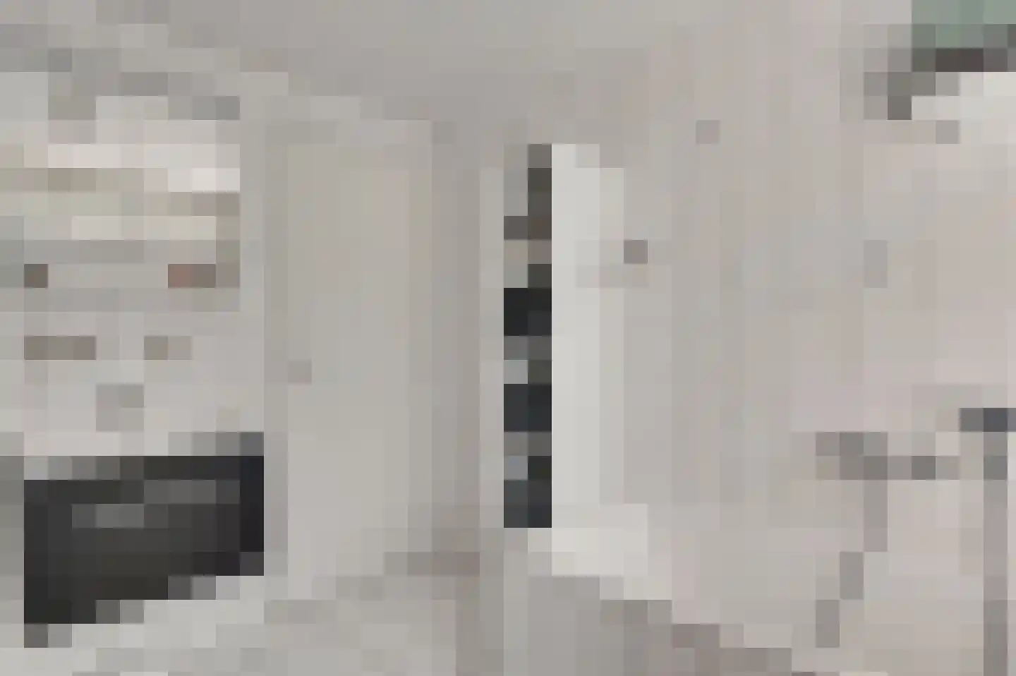 Kallestraat 27 Hunsel thumbnail 33
