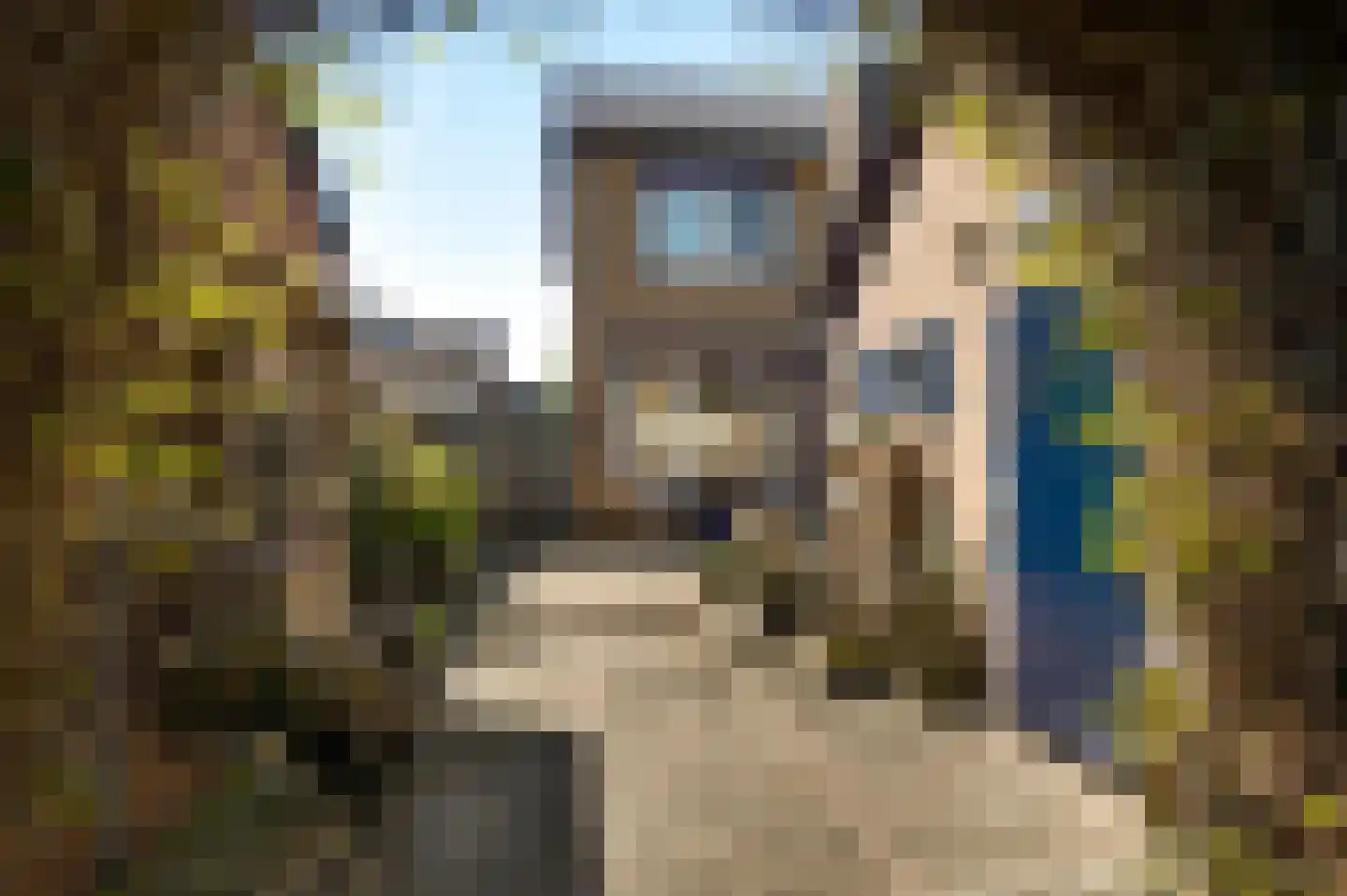 Kallestraat 27 Hunsel thumbnail 40