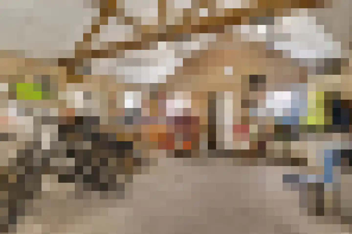 Kallestraat 27 Hunsel thumbnail 43