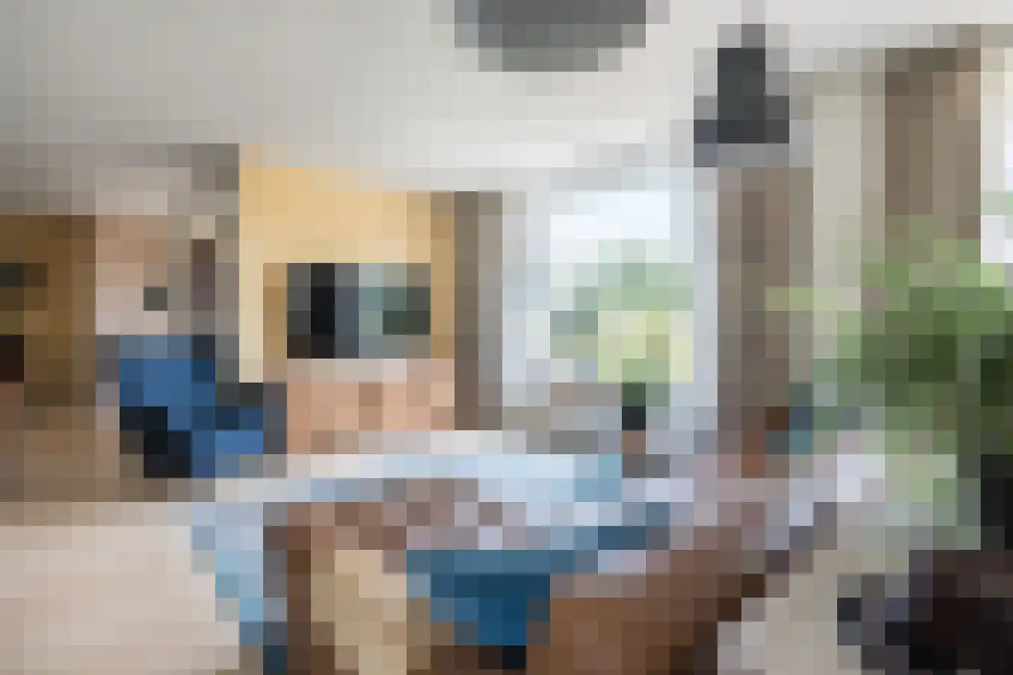 Kallestraat 4 Hunsel thumbnail 12