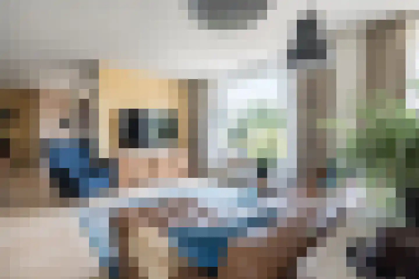 Kallestraat 4 Hunsel thumbnail 14