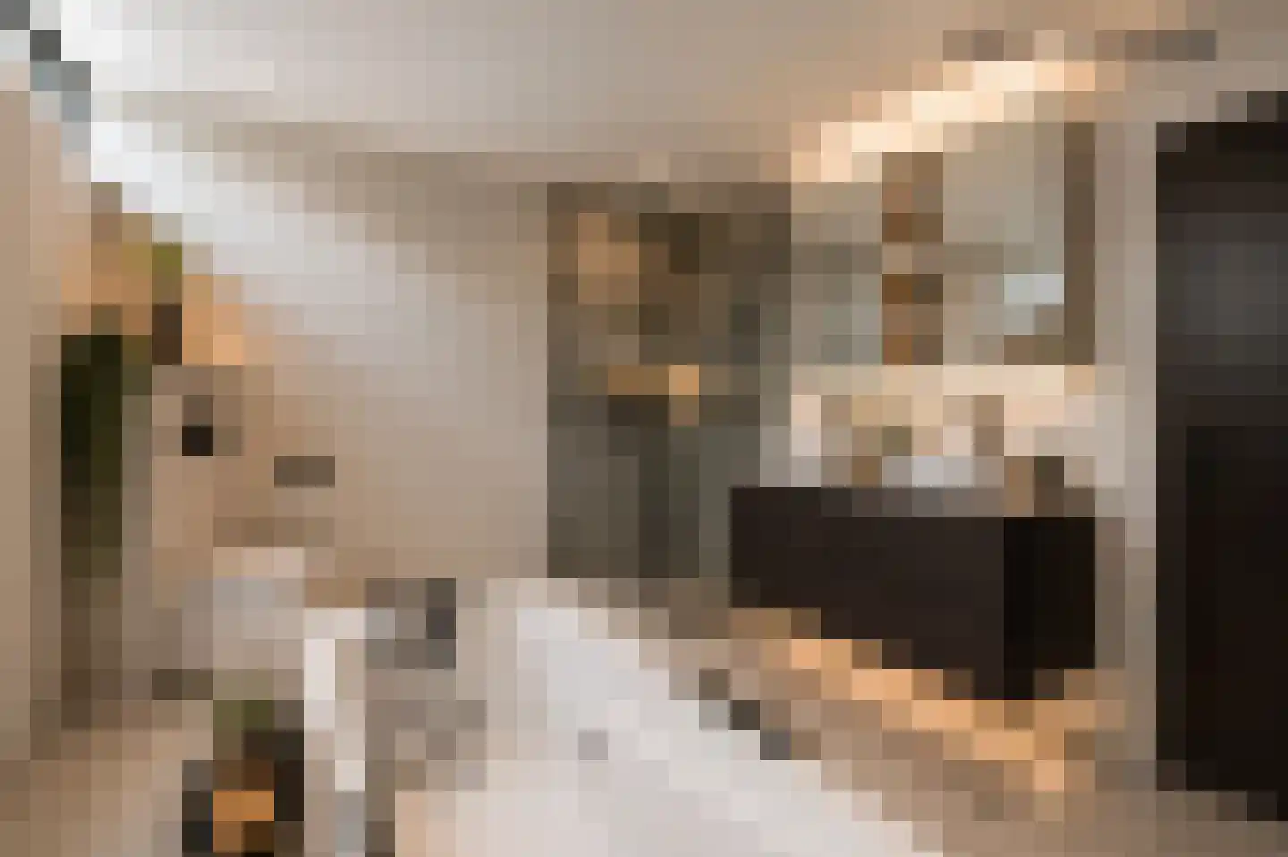 Kallestraat 4 Hunsel thumbnail 27