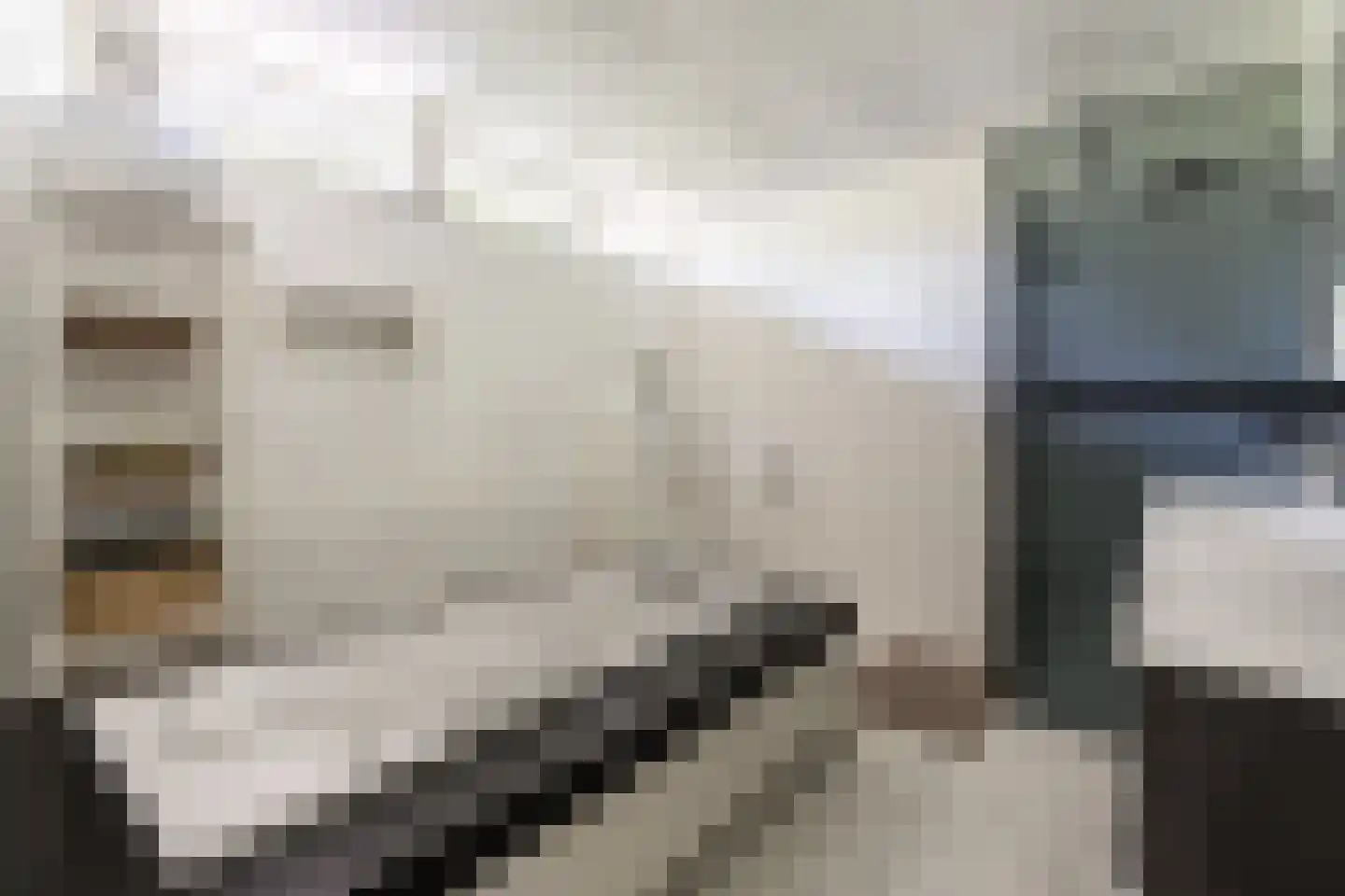 Kallestraat 4 Hunsel thumbnail 29