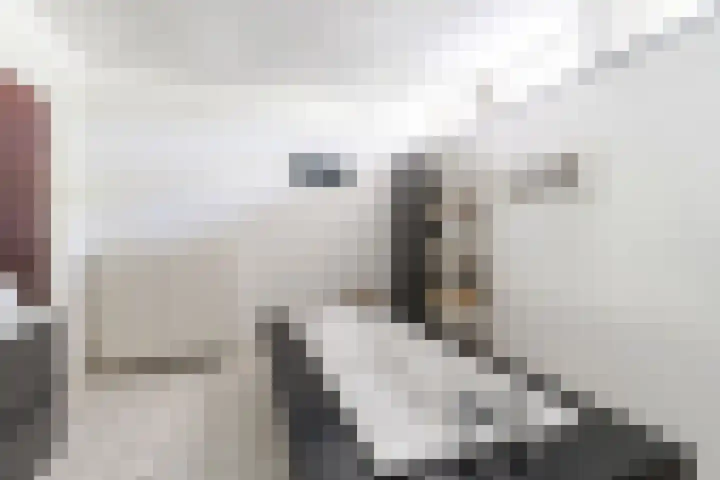 Kallestraat 4 Hunsel thumbnail 30