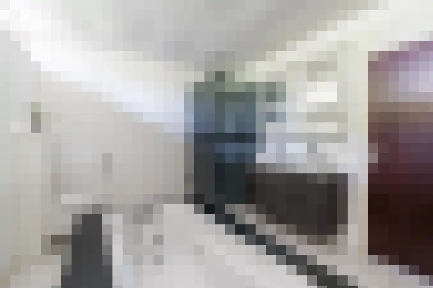 Kallestraat 4 Hunsel thumbnail 31