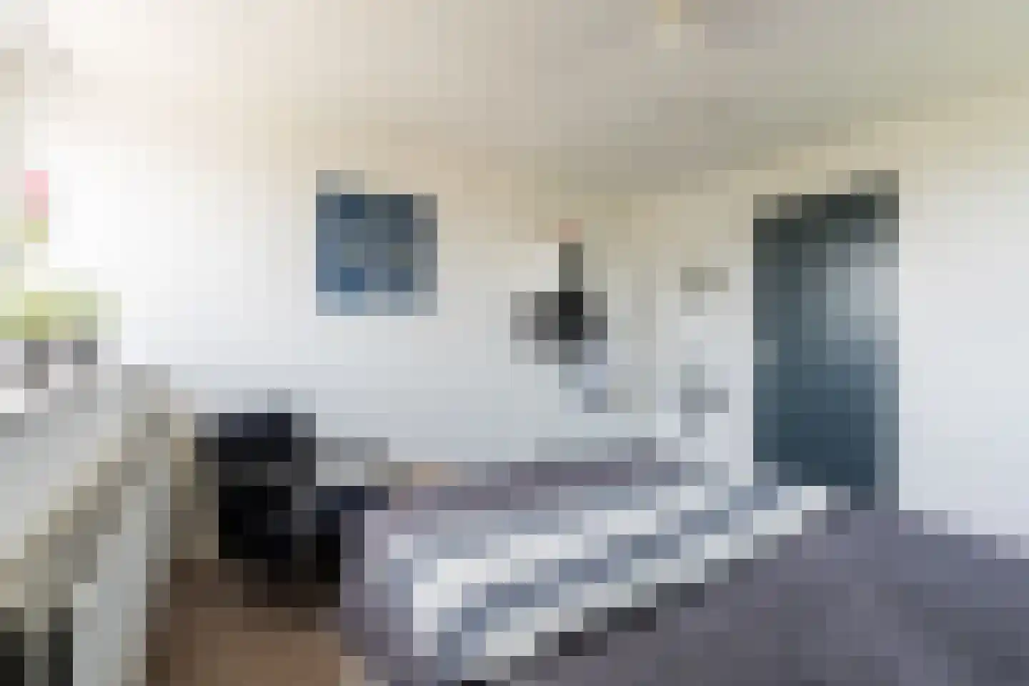 Kallestraat 4 Hunsel thumbnail 36