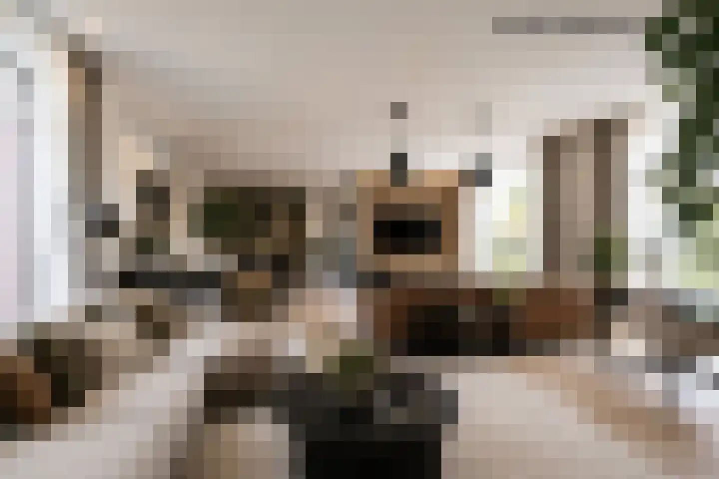 Kallestraat 4 Hunsel thumbnail 4