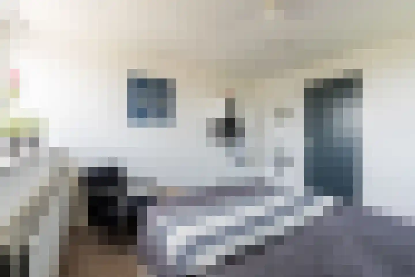Kallestraat 4 Hunsel thumbnail 40