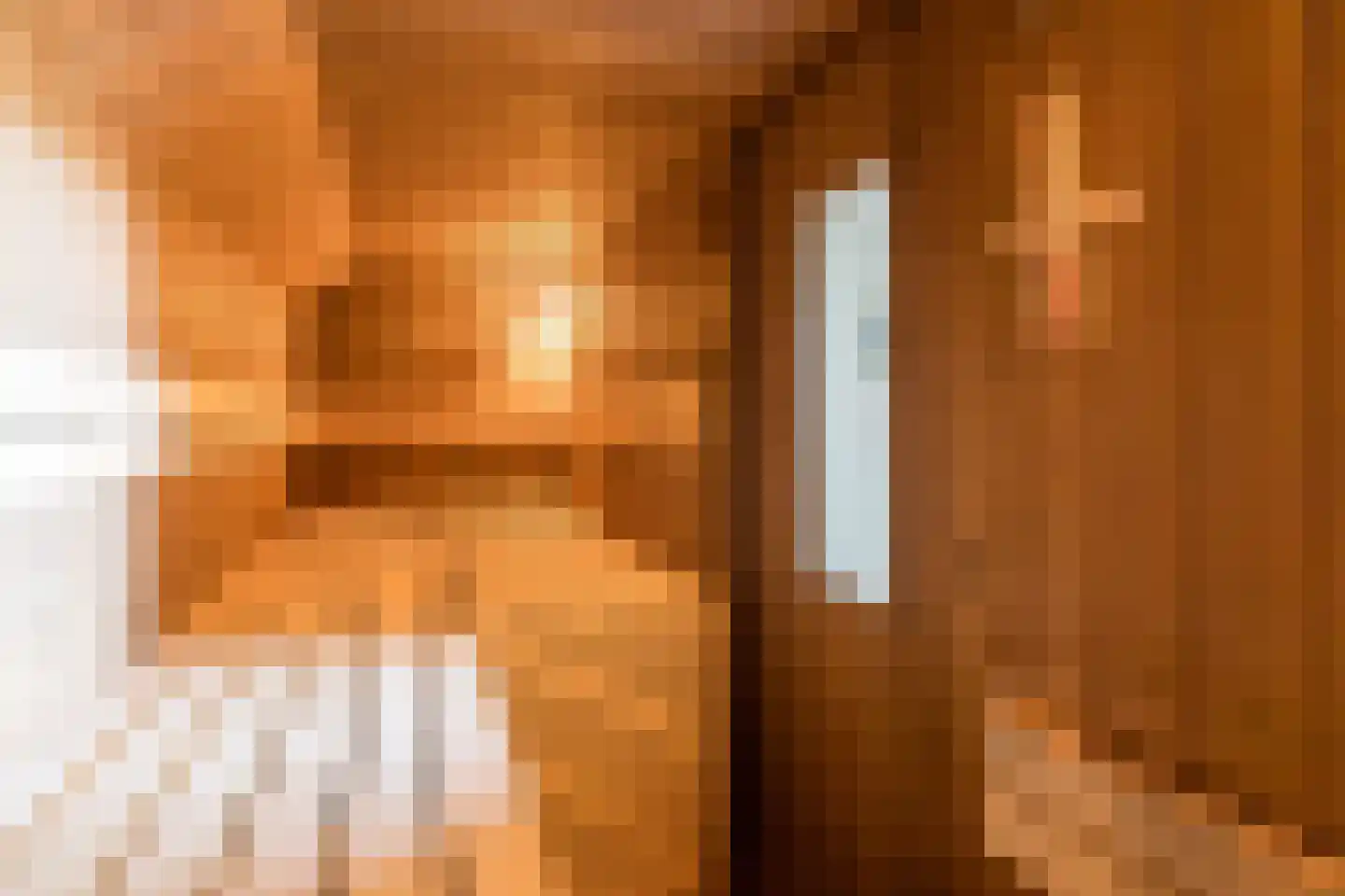 Kallestraat 4 Hunsel thumbnail 51