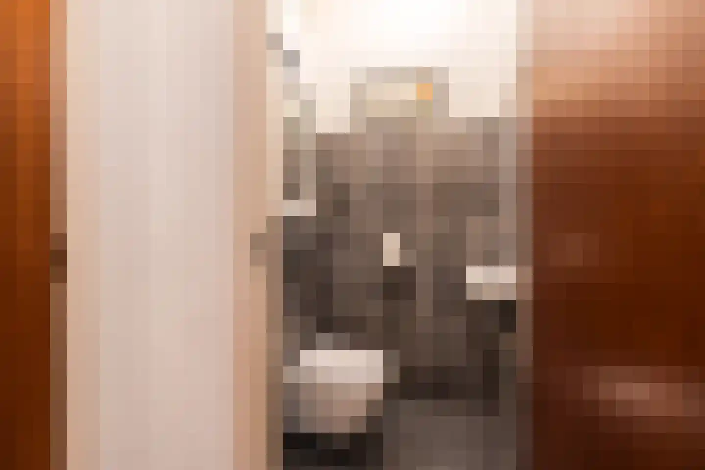 Kallestraat 4 Hunsel thumbnail 64