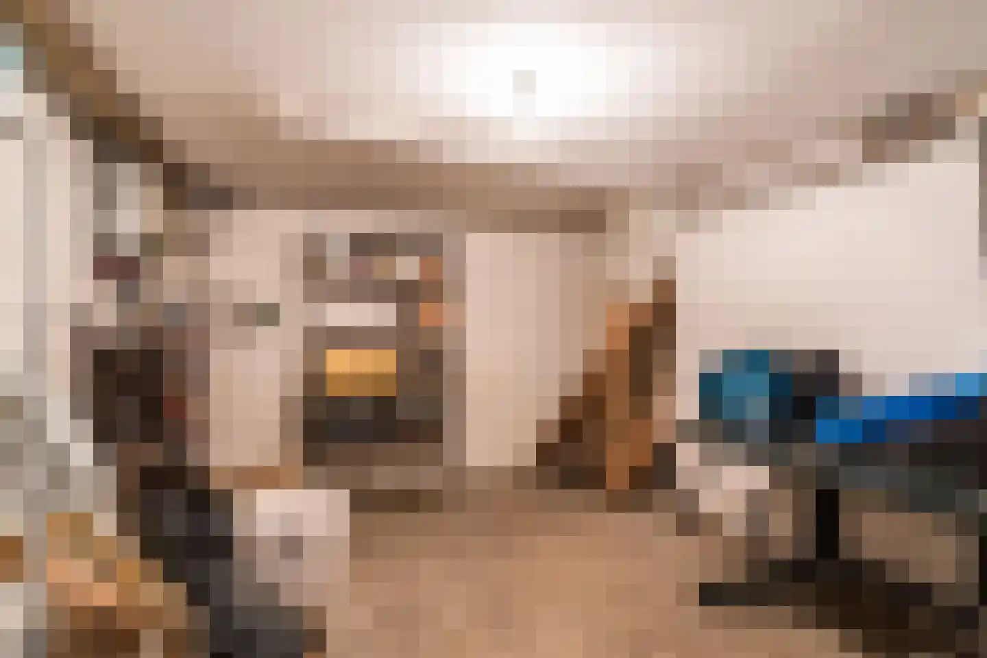 Kallestraat 4 Hunsel thumbnail 65