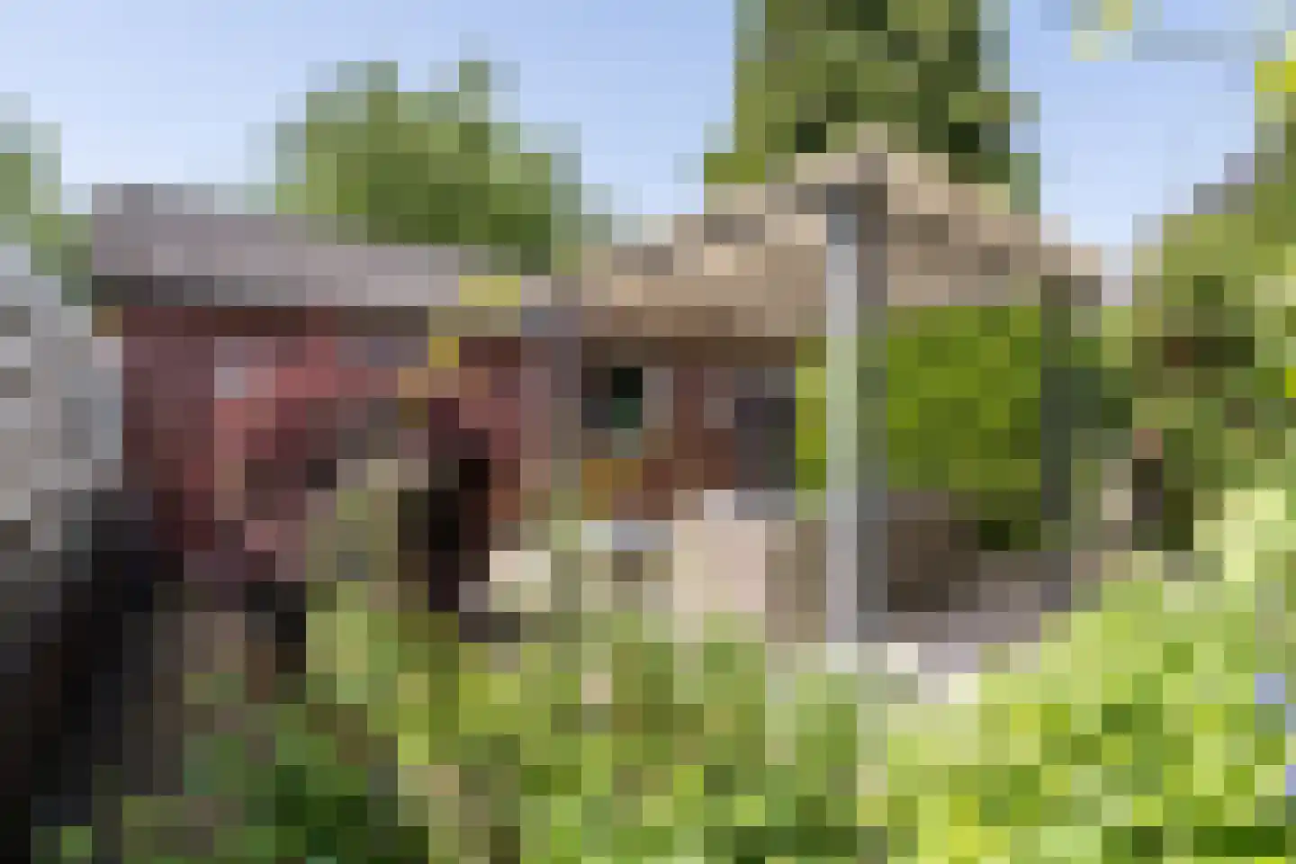 Kallestraat 4 Hunsel thumbnail 77