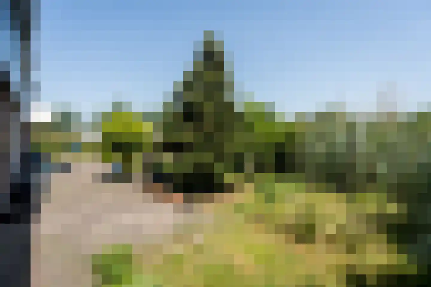 Kallestraat 4 Hunsel thumbnail 80