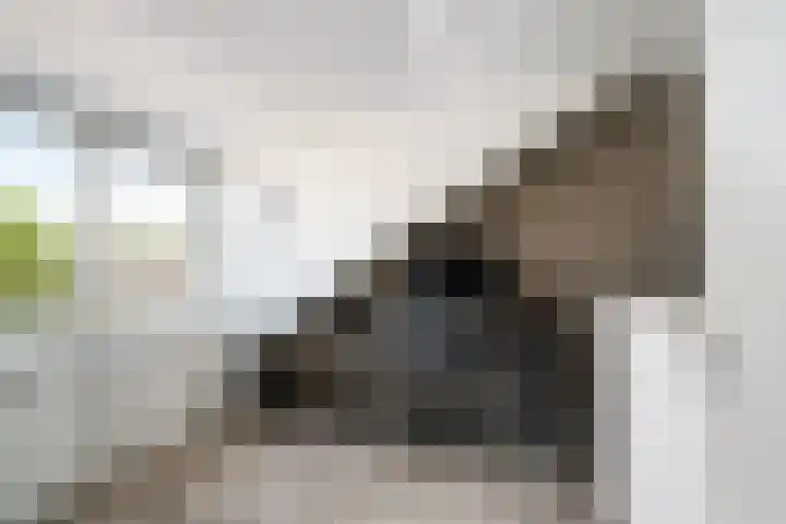 Kálmánstraat 18 Capelle aan den IJssel thumbnail 35