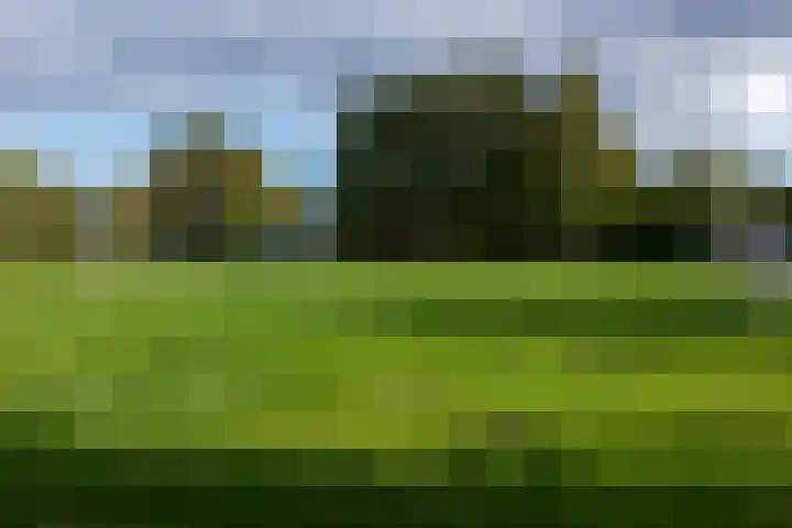 Kálmánstraat 18 Capelle aan den IJssel thumbnail 42