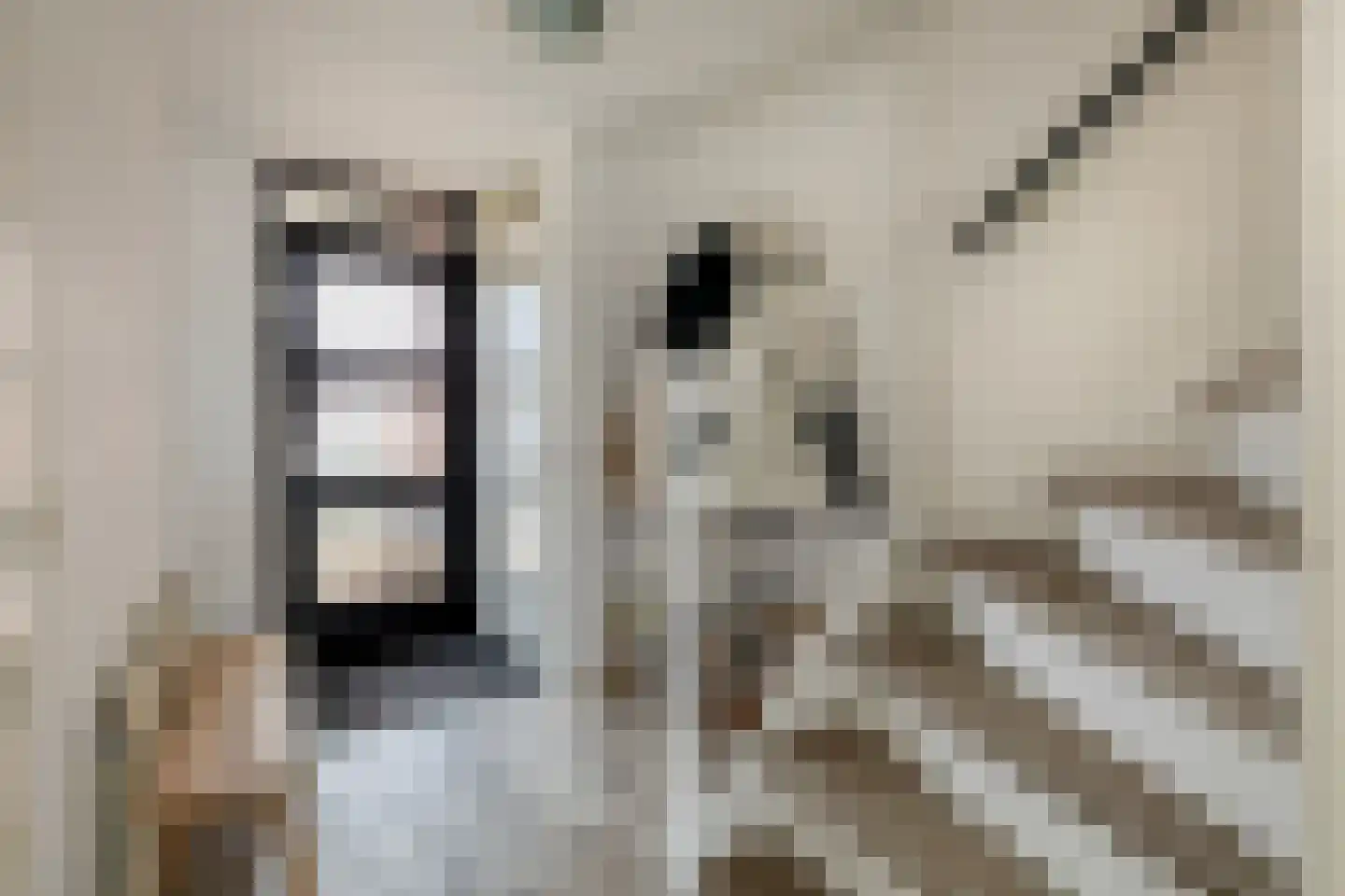 Kálmánstraat 25 Capelle aan den IJssel thumbnail 6