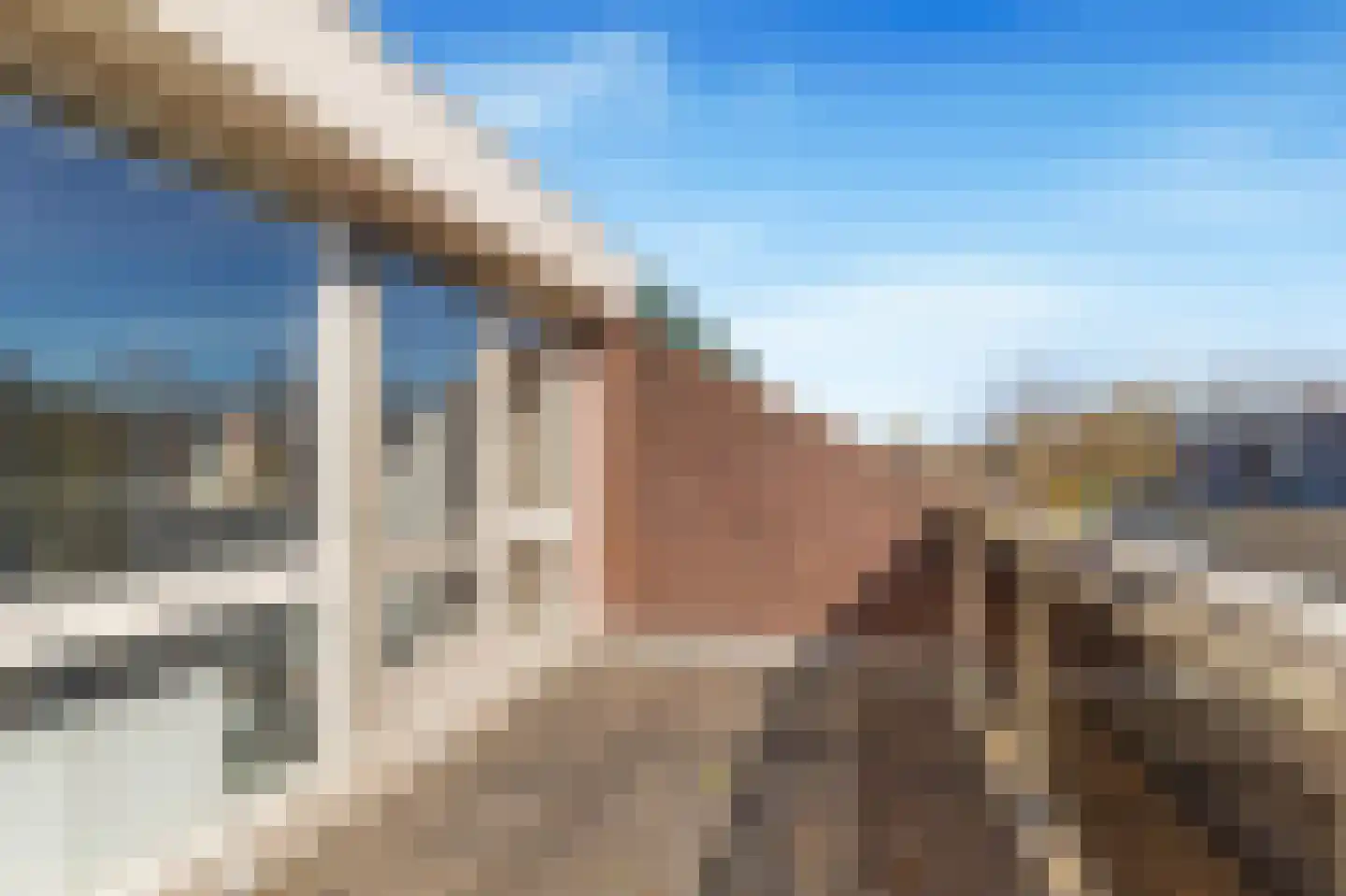Kalmanstraat 44 Alkmaar thumbnail 4