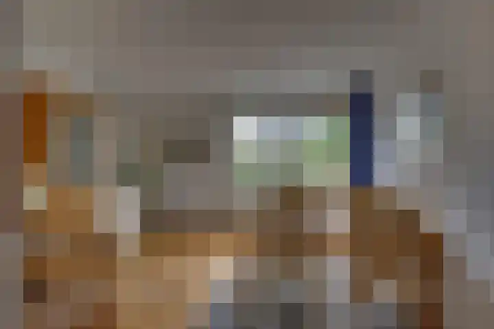 Kalmoes 1 Nijverdal thumbnail 10