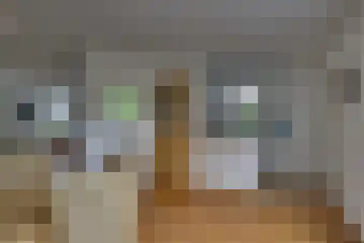 Kalmoes 1 Nijverdal thumbnail 11