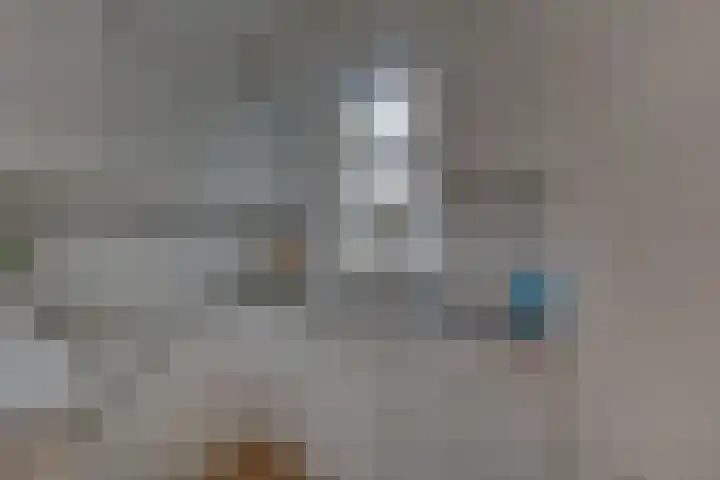 Kalmoes 1 Nijverdal thumbnail 12