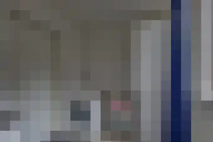 Kalmoes 1 Nijverdal thumbnail 14