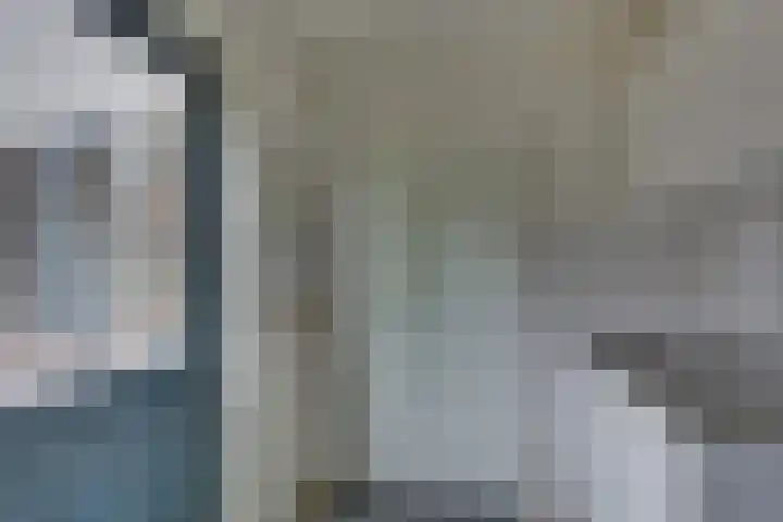 Kalmoes 1 Nijverdal thumbnail 15