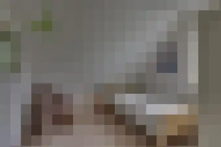 Kalmoes 1 Nijverdal thumbnail 17