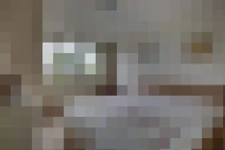 Kalmoes 1 Nijverdal thumbnail 21